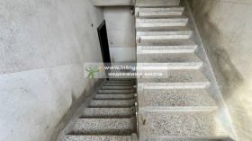 ����� ������� ����������,���� �������, ��������