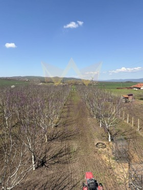 ������� ���� | Imot.bg � ����� ������ 2