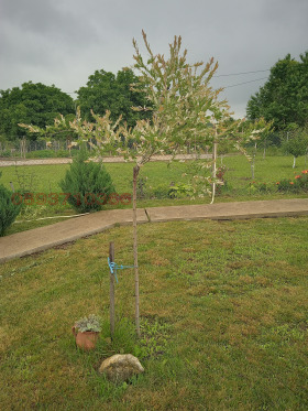 ������� ���� | Imot.bg � ����� ������ 3