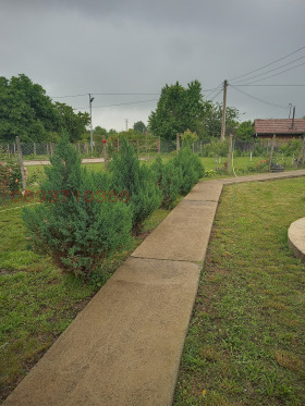 ������ ������� ����