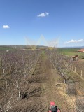Продава КЪЩА, с. Малка поляна, област Бургас, снимка 2
