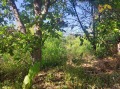 Продава ПАРЦЕЛ, област Велико Търново, с. Хотница • 19000 лв. / 9714.55 € • 70494656 5