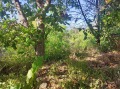 Продава ПАРЦЕЛ, област Велико Търново, с. Хотница • 19000 лв. / 9714.55 € • 70494656 6