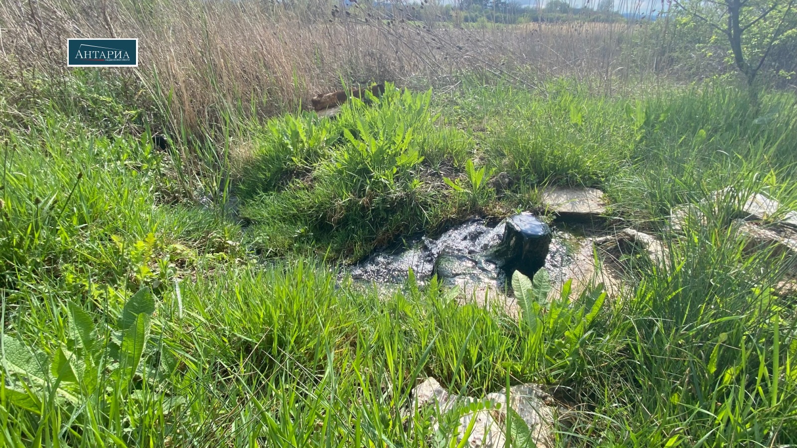 ������� ������ | Imot.bg � ����������� 9