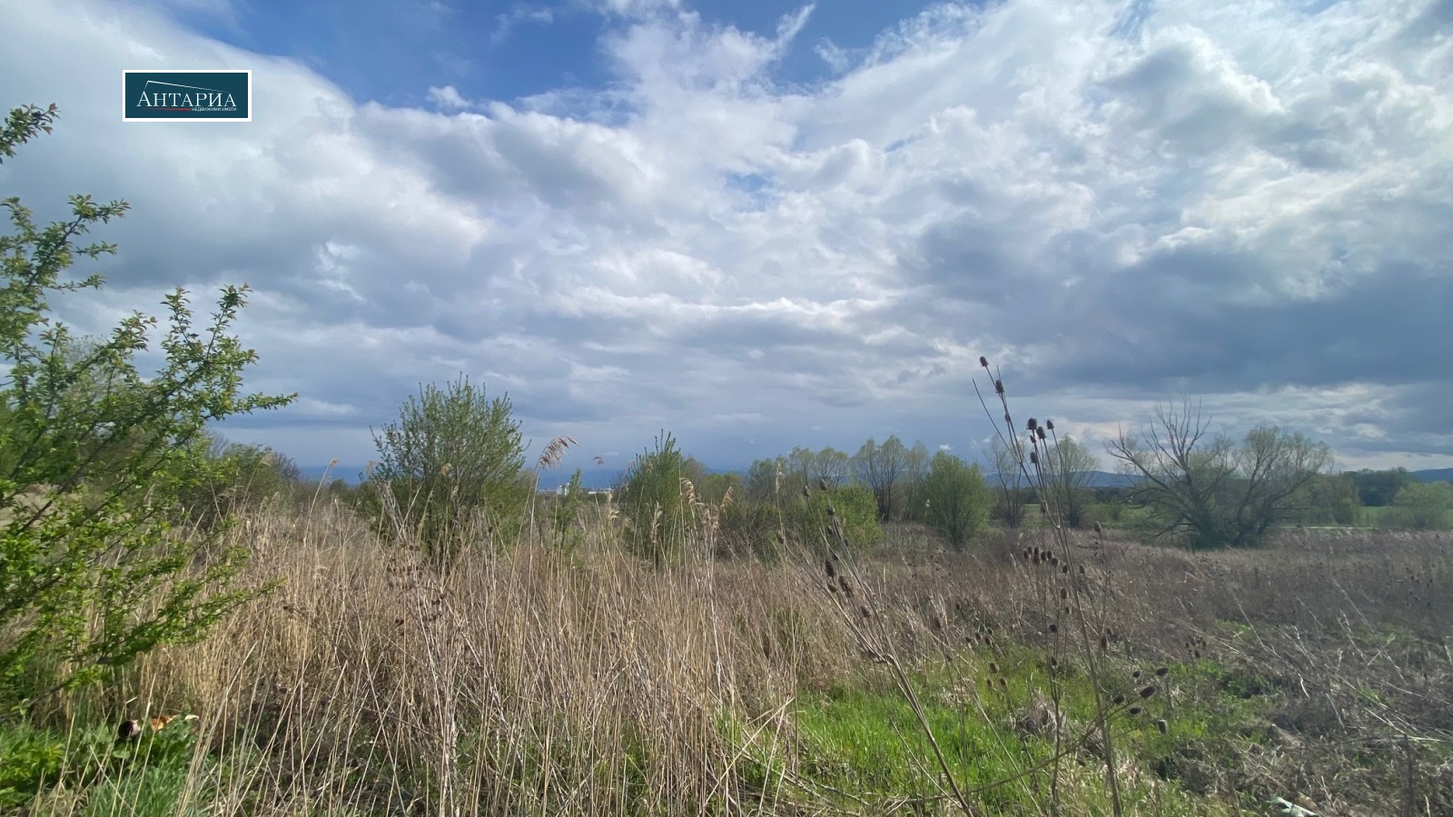 ������� ������ | Imot.bg � ����������� 8