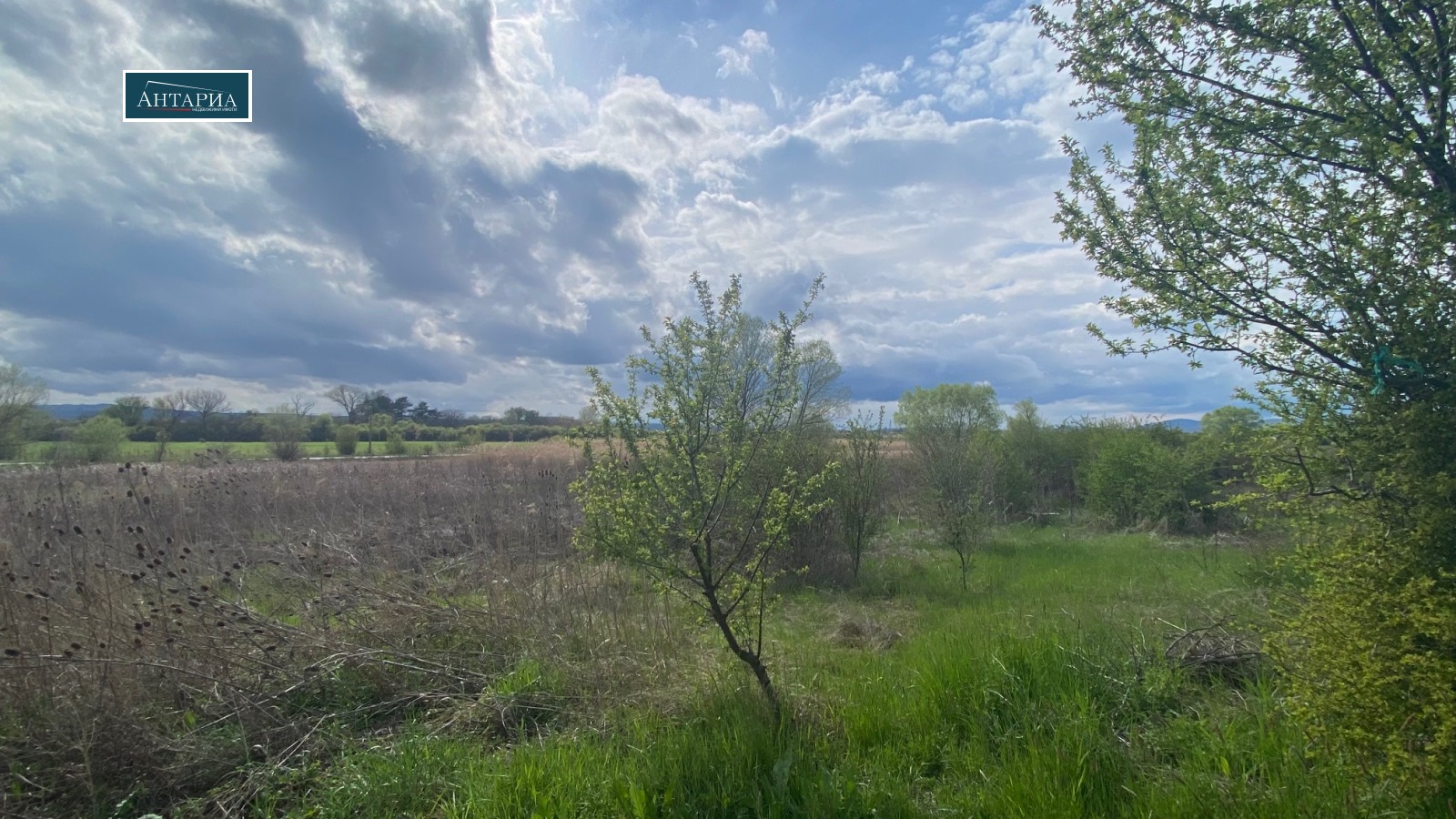 ������� ������ | Imot.bg � ����������� 5