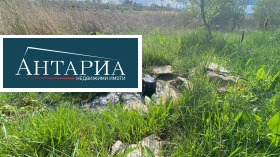 ����� ������� ������,��. ����������, ������ �����