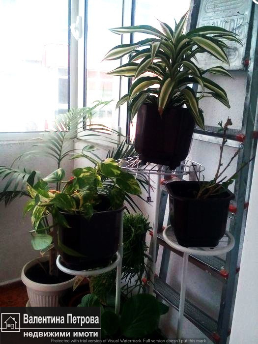 Продава 3-СТАЕН, гр. Русе, Център, снимка 8 - Апартаменти - 55724431