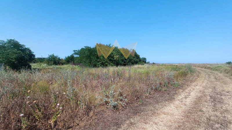 Na prodej  Spiknutí oblast Dobrich , Kamen brjag , 1125 m2 | 16682445 - obraz [2]
