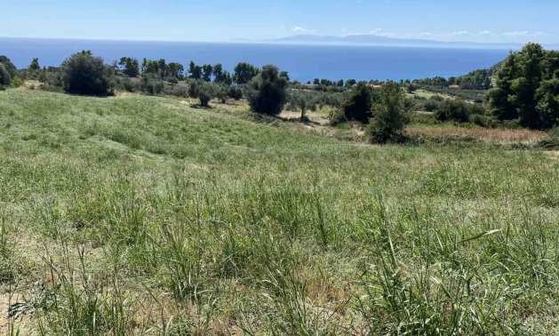 Продава ПАРЦЕЛ | Imot.bg — изображение 7