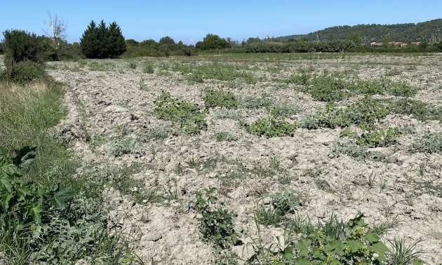 Продава ПАРЦЕЛ | Imot.bg — изображение 6