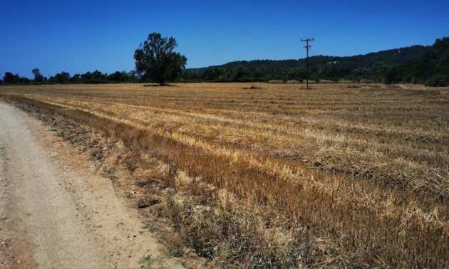 Продава ПАРЦЕЛ | Imot.bg — изображение 4