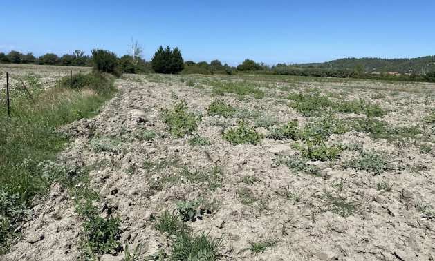 Продава ПАРЦЕЛ | Imot.bg — изображение 1