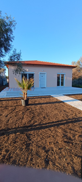 ������ ������� ����