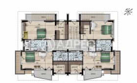 ����� ������� ����,���� �����, ����������