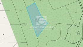 ����� ������� ������,�. ����� �����, ������ ����� ������