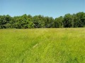 Продава ПАРЦЕЛ, област Пловдив, с. Голям чардак • 31200 € • 69487471 — Holmes.bg