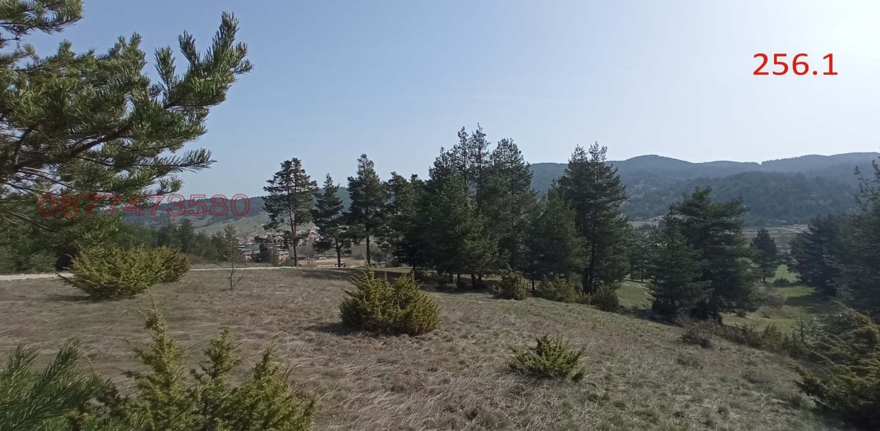 ������� ������ | Imot.bg � ����������� 7