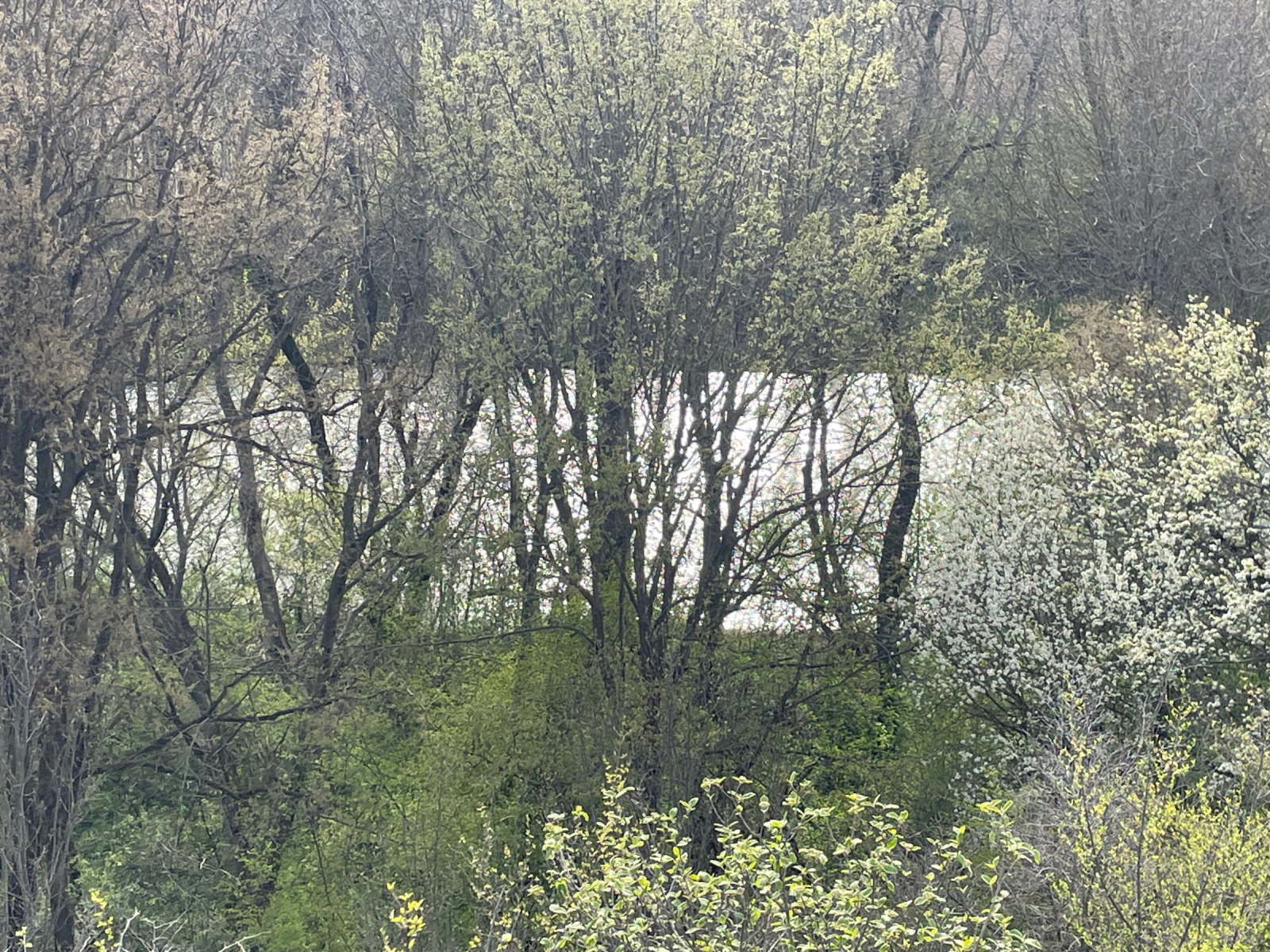 ������� ������ | Imot.bg � ����������� 6