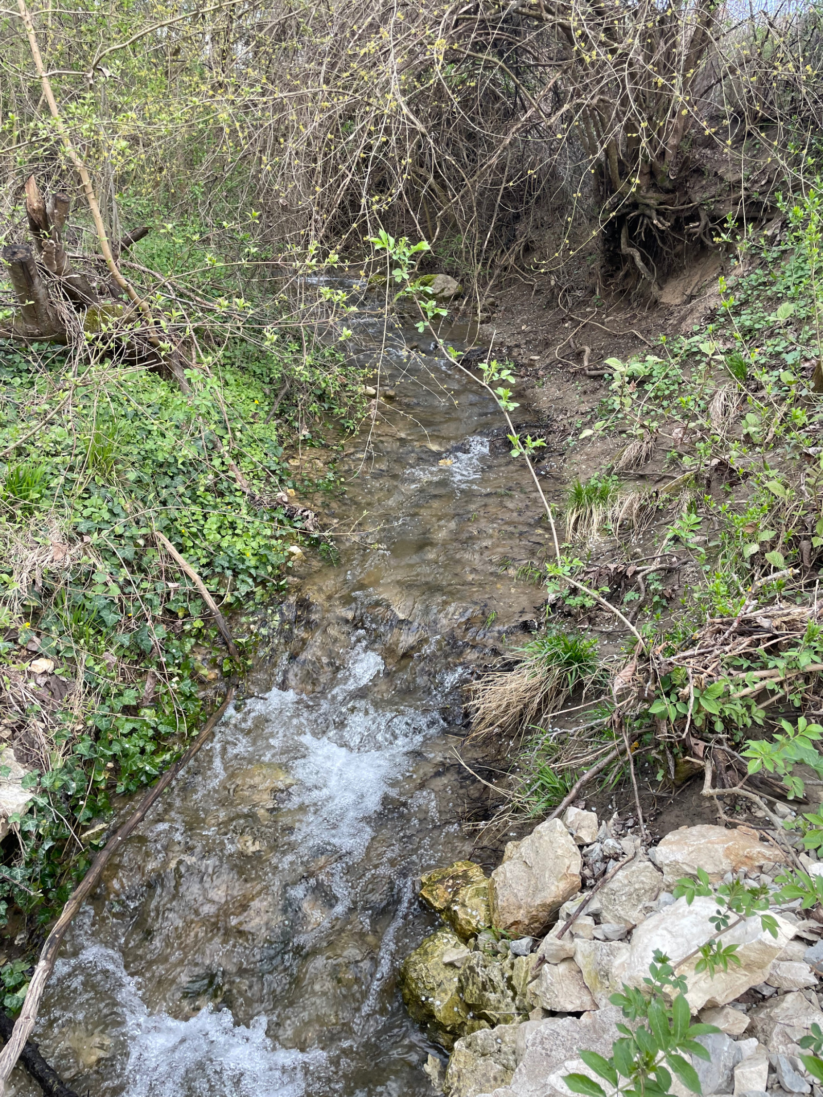 ������� ������ | Imot.bg � ����������� 11