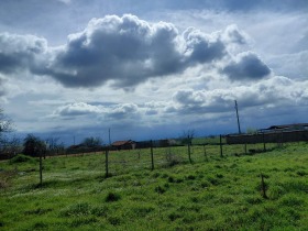 ����� ������� ����,�. ������ ����, ������ �������