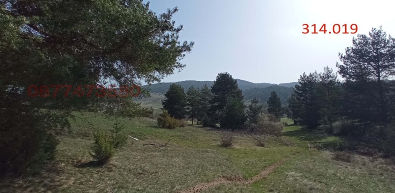 Продава ПАРЦЕЛ, с. Баня, област Благоевград, снимка 6 - Парцели - 52780903