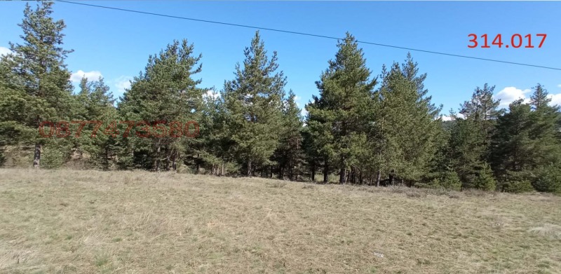 Продава ПАРЦЕЛ, с. Баня, област Благоевград, снимка 5 - Парцели - 52780903