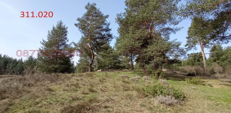 Продава ПАРЦЕЛ, с. Баня, област Благоевград, снимка 8 - Парцели - 52780903