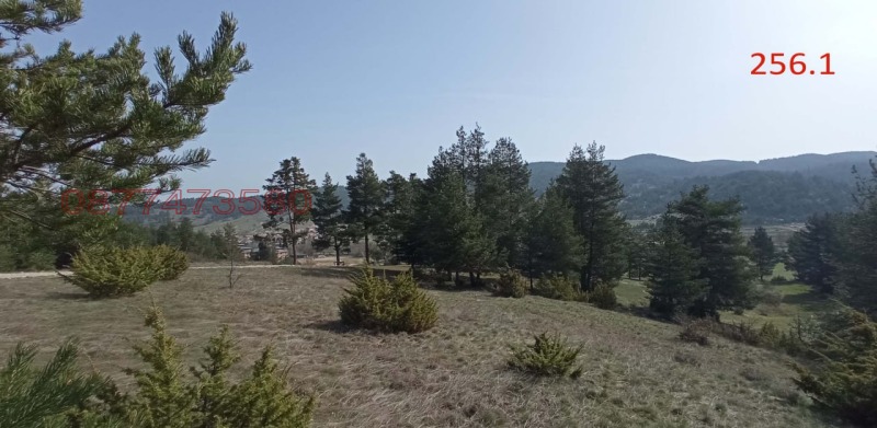 Продава ПАРЦЕЛ, с. Баня, област Благоевград, снимка 7 - Парцели - 52780903