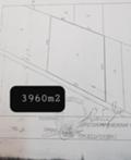 Продава ПАРЦЕЛ, гр. Сапарева баня, област Кюстендил, снимка 1