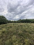 Продава  Парцел област Сливен , с. Стоил войвода , 7200 кв.м | 95908061 - изображение [4]