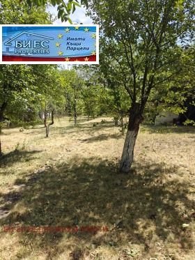 ������� ���� | Imot.bg � ����� ������ 8