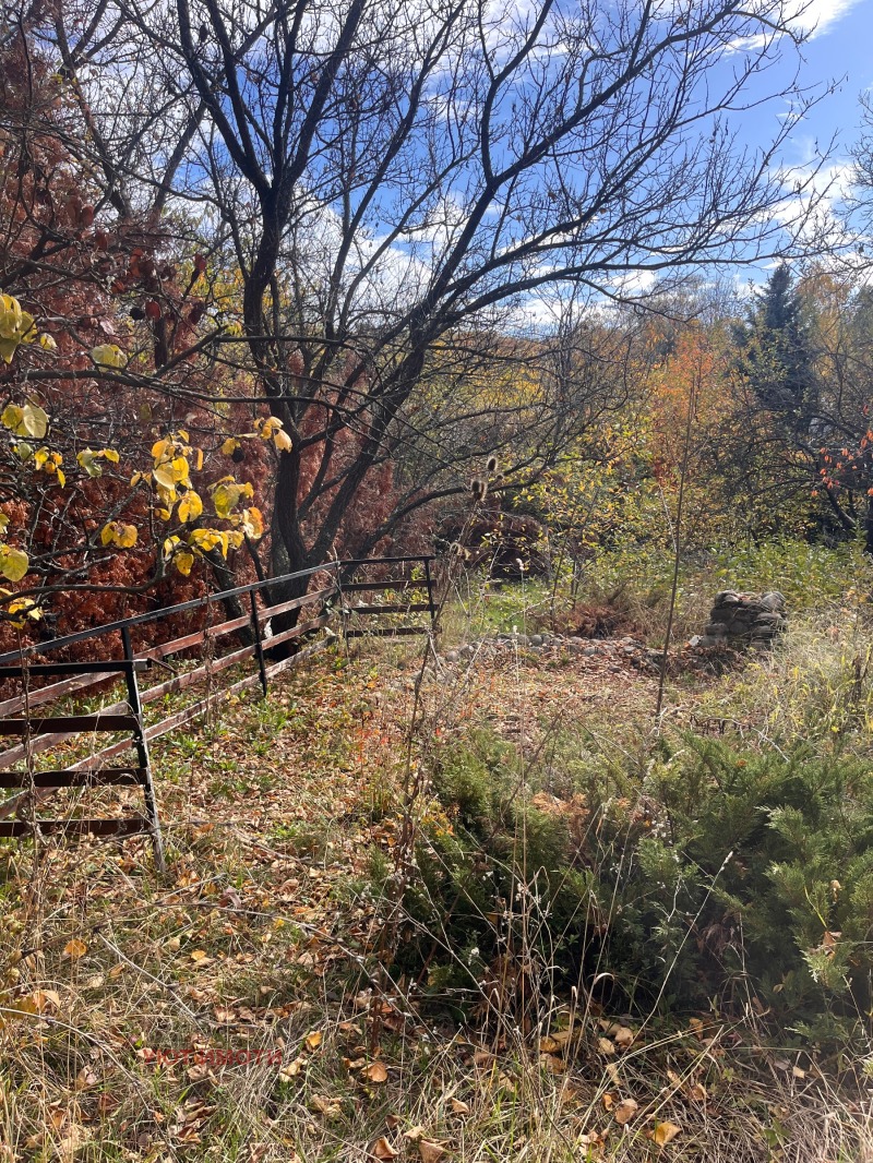 Продава КЪЩА, гр. София, с. Кокаляне, снимка 11 - Къщи - 52440779