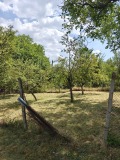 Продава КЪЩА, област Перник, с. Николаево • 85000 лв. • 79678317 — Holmes.bg