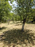 Продава КЪЩА, област Перник, с. Николаево • 85000 лв. • 79678317 — Holmes.bg