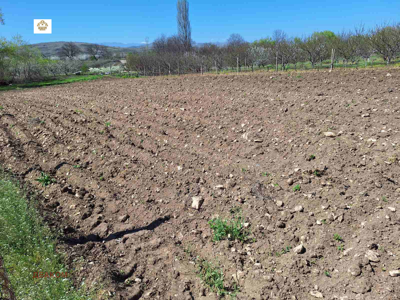 ������� ������ | Imot.bg � ����������� 11