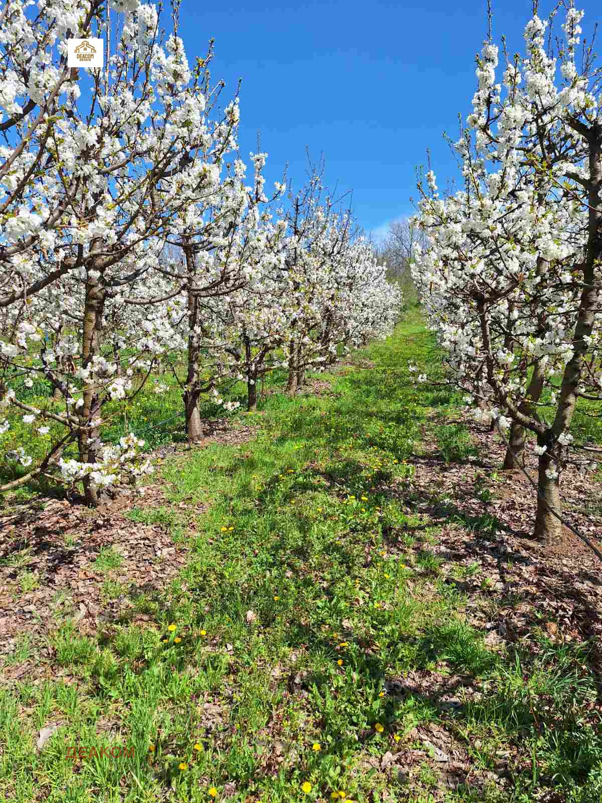 ������� ������ | Imot.bg � ����������� 3