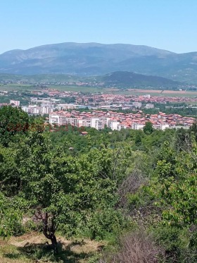������� ���� | Imot.bg � ����� ������ 8