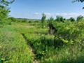 Продава ПАРЦЕЛ, с. Иваново, област Русе, снимка 2