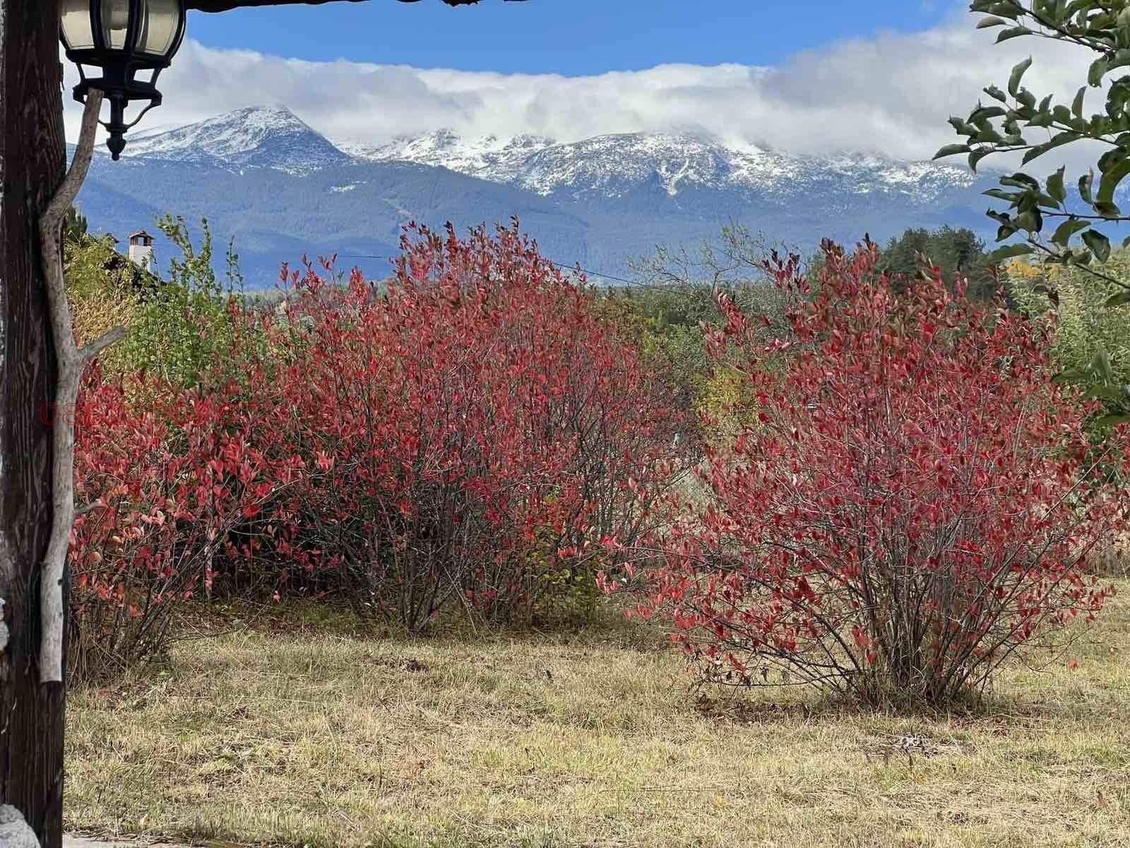 ������� ������ | Imot.bg � ����������� 11