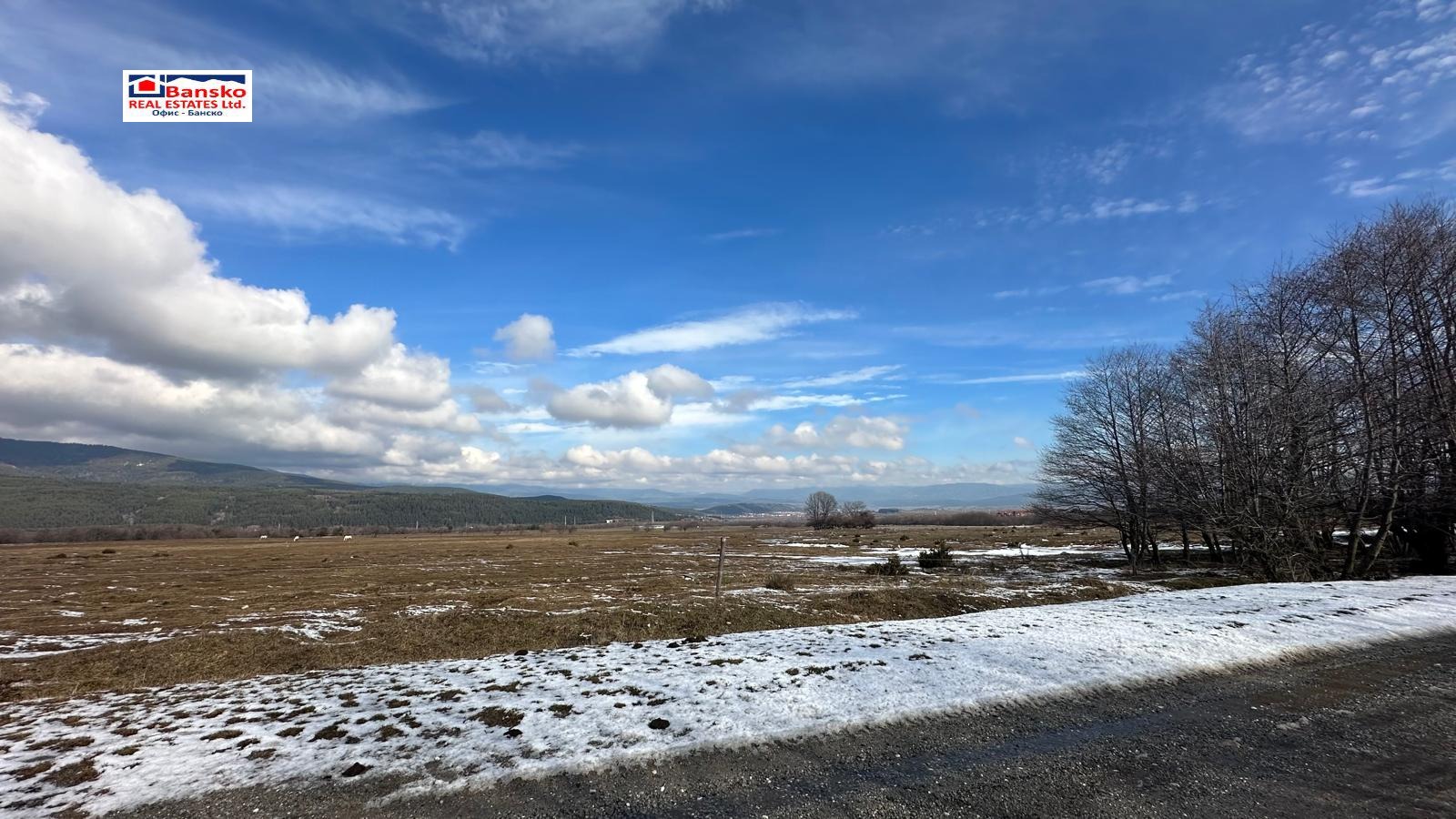 ������� ������ | Imot.bg � ����������� 7