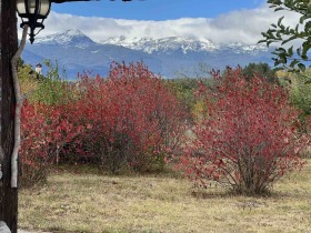 ������� ������ | Imot.bg � ����� ������ 11