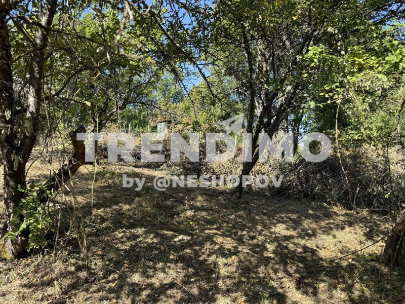 À venda  Trama Região Pernik , Jitucha , 780 m² | 95243625 - imagem [4]