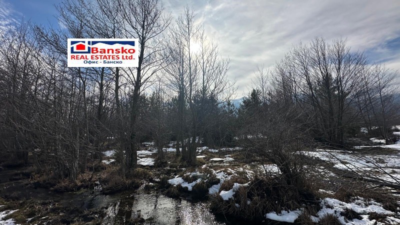 Продава ПАРЦЕЛ, гр. Разлог, област Благоевград, снимка 4 - Парцели - 53495806