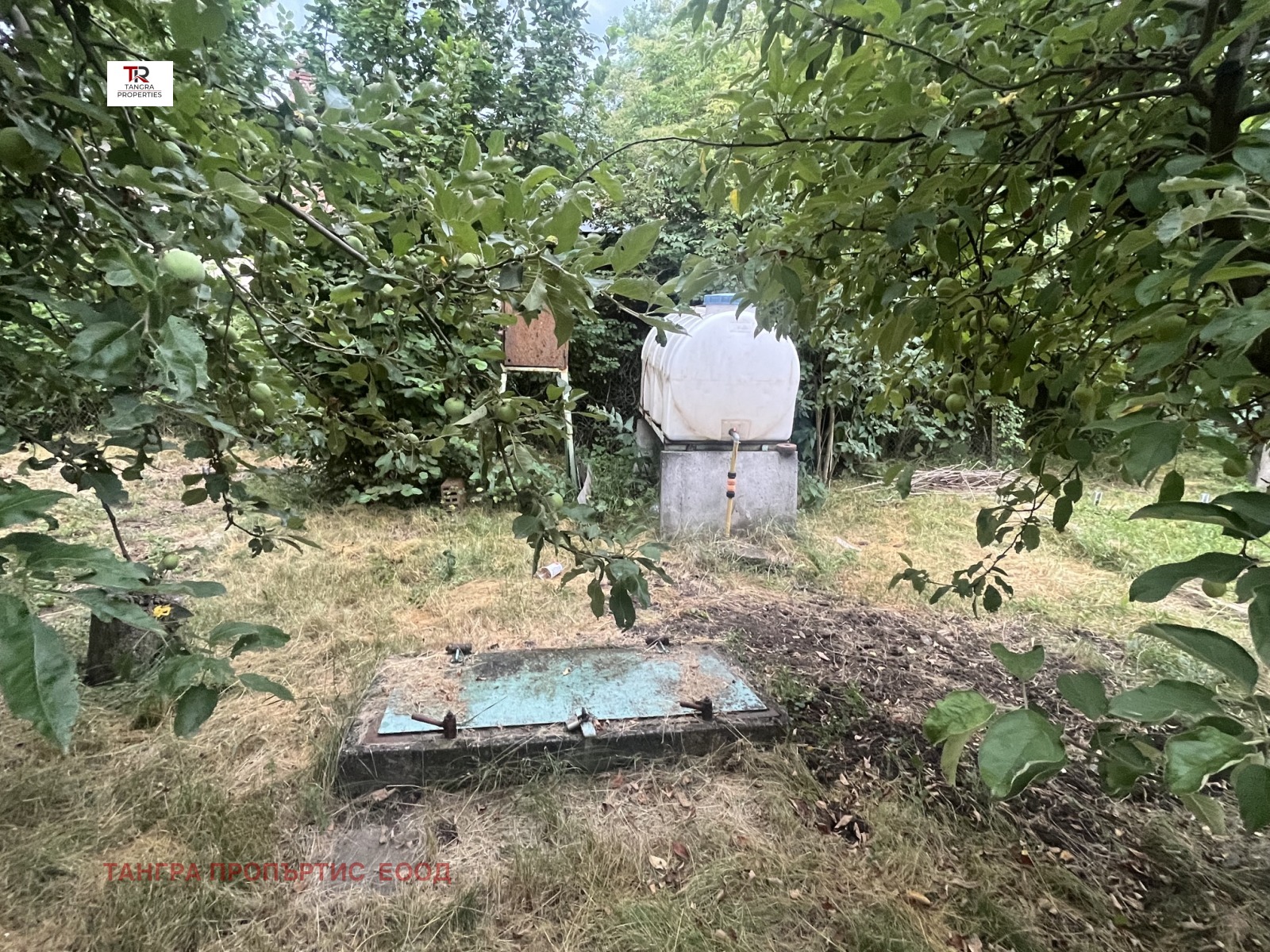 Продава ПАРЦЕЛ, с. Кошарите, област Перник, снимка 3 - Парцели - 56105935