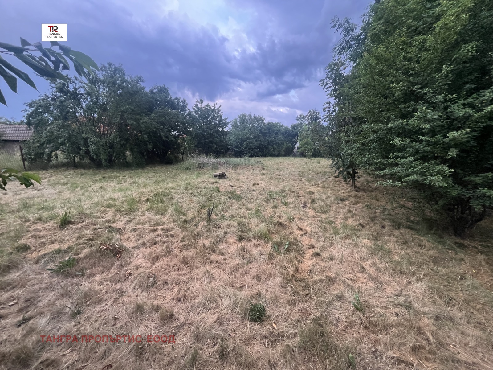 Продава ПАРЦЕЛ, с. Кошарите, област Перник, снимка 2 - Парцели - 56105935
