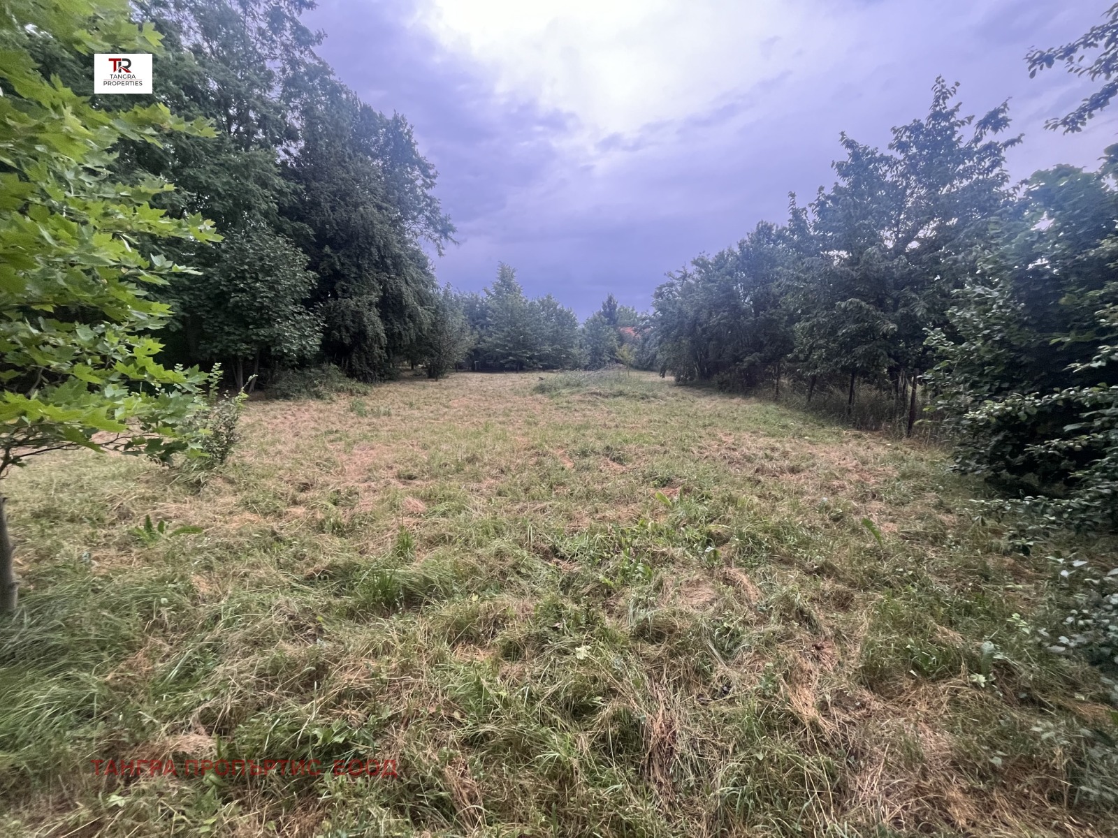 Продава ПАРЦЕЛ, с. Кошарите, област Перник, снимка 8 - Парцели - 56105935