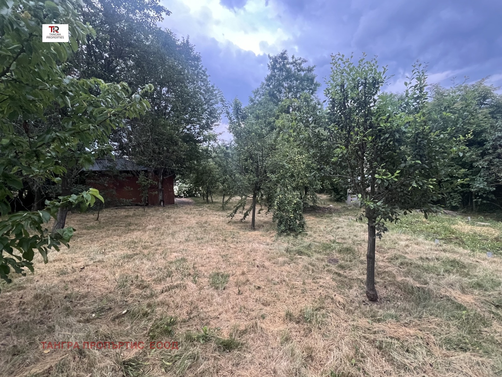 Продава ПАРЦЕЛ, с. Кошарите, област Перник, снимка 4 - Парцели - 56105935