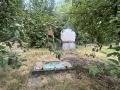 Продава ПАРЦЕЛ, с. Кошарите, област Перник, снимка 3