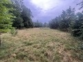 Продава ПАРЦЕЛ, с. Кошарите, област Перник, снимка 8